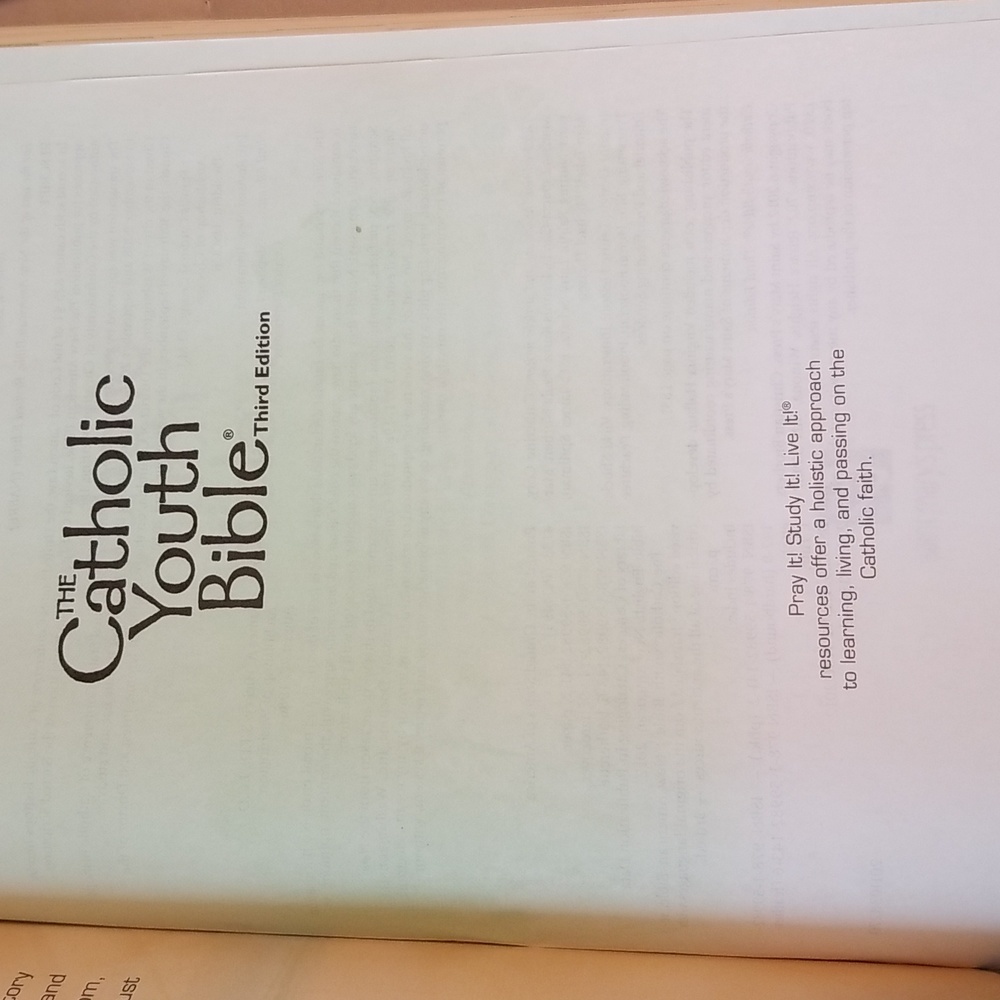 Catholic Youth Bible - Picture 6 of 11
